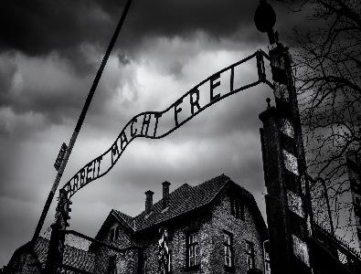 השואה במחשבה היהודית האמריקאית שלאחר המלחמה